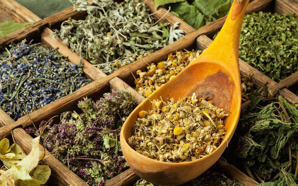 herbes séchées contre les parasites dans le corps
